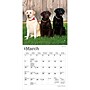 2027 BrownTrout Labrador Retrievers 7" x 7" Monthly Wall Calendar (9798330710034)~#|#~1835A21A-8D59-4831-A21AD963CE6B399B_sc7