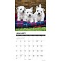 2027 Willow Creek Westie Puppies 12" x 12" Monthly Wall Calendar, Assorted Colors (62852)~#|#~18455E33-0BB2-43CC-9C77FE7FCE69669C_sc7