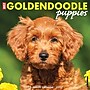 2027 Willow Creek Goldendoodle Puppies  12" x 12" Monthly Wall Calendar (60452)~#|#~18537409-1E7B-4BD9-8895907291F70BF8_sc7