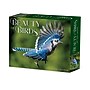 2027 Willow Creek Beauty of Birds 6.2" x 5.4" Daily Day-to-Day Calendar, Assorted Colors (65846)~#|#~185486DF-5794-40BE-82C681F8F9269F5A_sc7