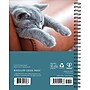 2026 Willow Creek What Cats Teach Us 6.5" x 8.5" Daily & Monthly Personal Organizer (54666)~#|#~185B5ABF-56FD-4B77-90C82BDC6FEAADC3_sc7