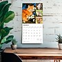2026 BrownTrout Cat Lovers 12" x 12" Monthly Wall Calendar (9798330702787)~#|#~1887C222-7EB4-4D56-97DFBE9B329CCA1E_sc7