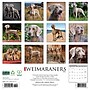 2026 Willow Creek Weimaraners 12" x 12" Monthly Wall Calendar (53119)~#|#~188AD5C8-18FB-4E0F-9A25FB8332D75ADB_sc7