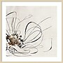 Amanti Art Golden Line Flower II by Alex Black Wood Framed Wall Art Print, 33"W x 33"H (A42679036941)~#|#~18AD2C63-E0E1-46C2-810F4E58BD1C653B_sc7