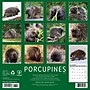 2026 Willow Creek Porcupines 12" x 12" Monthly Wall Calendar (56066)~#|#~18AEA1AC-B38E-43E9-A5FCE63D83999AF5_sc7