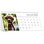 2026 House of Doolittle Earthscapes Puppy 8.5" x 4.25" Monthly Desktop Tent Calendar (3659-26)~#|#~18AEE926-B15A-442A-BD77327C941E2A8E_sc7