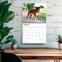 2026 BrownTrout For the Love of Boxers 14" x 12" Monthly Wall Calendar (9798330707126)~#|#~18B7F2BE-3EDB-4AE7-AB2B2EC708F5C075_sc7