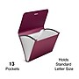 Staples Reinforced Plastic Accordion File, 13-Pocket, Letter Size, Purple (TR52015)~#|#~18BD08CD-7CFF-42D7-B3247577CBD1E6E4_sc7