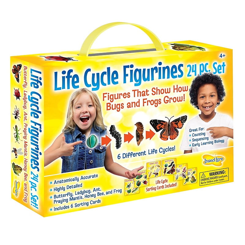 Insect Lore Life Cycle Figurines Set, 24 Pieces (ILP2205) image 1