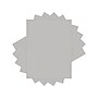 Lettermark Colors 30% Recycled 8.5" x 11" Color Copy Paper, 20 lbs., Gray, 5000/Carton (94302)~#|#~18C621D0-2E66-43F3-9BB30800A4E38419_sc7