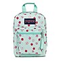 JanSport Big Break Insulated Lunch Bag, 2-Compartment, Apple Orchard (JS0A352LA3D)~#|#~18C8623A-AD49-4319-8745DD251D6010F6_sc7