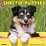 2027 Willow Creek Sheltie Puppies 12" x 12" Monthly Wall Calendar, Assorted Colors (62296)~#|#~18D42A2C-F9A9-4DF0-99AFF1FA331259D3_sc7
