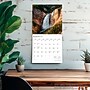 2026 BrownTrout Rocky Mountain Wilderness 12" x 12" Monthly Wall Calendar (9798330705368)~#|#~18DAD883-E817-4CCF-9BD213E08B1619A4_sc7