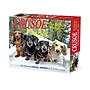 2026 Willow Creek Crusoe the Celebrity Dachshund 6.2" x 5.4" Day-to-Day Calendar (54086)~#|#~18EA35B1-16EF-49FF-92E33DA459DB35A4_sc7