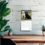 2026 BrownTrout Labrador Retrievers 7" x 7" Monthly Wall Calendar (9798330704217)~#|#~19056E95-4BCC-42FD-A5D907903B7A4529_sc7