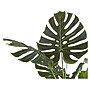 Monarch Specialties Inc. Monstera in Pot (I 9548)~#|#~1905AEA8-07FC-46C7-99BBBEEE7164F068_sc7