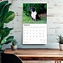 2026 BrownTrout For the Love of Boston Terriers 14" x 12" Monthly Wall Calendar (9798330707119)~#|#~190F8892-AE1C-4A3D-A355070845D15924_sc7