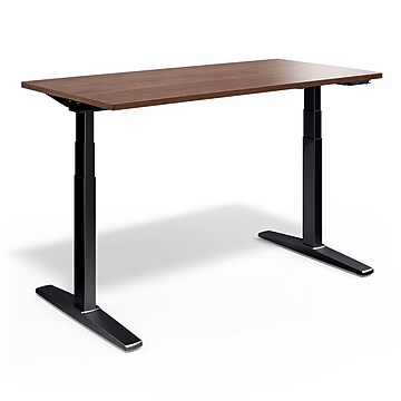FlexiSpot E2 48''W Electric Adjustable Standing Desk, Black