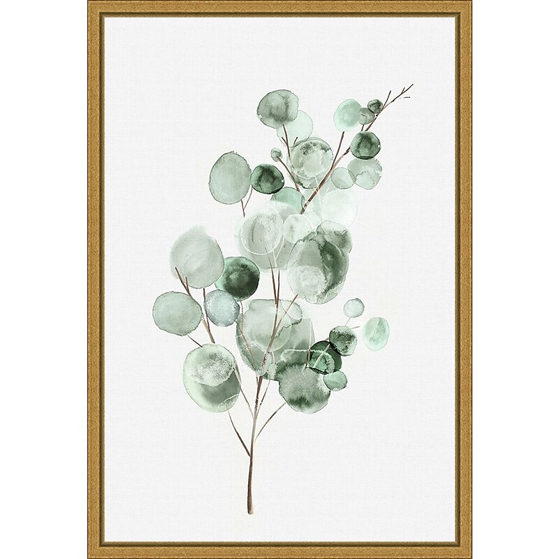 Amanti Art Tender Sprout II (Eucalyptus) by Eva Watts Framed Canvas Wall Art Print, 16" x 23" (A42675040761) image 1