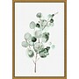 Amanti Art Tender Sprout II (Eucalyptus) by Eva Watts Framed Canvas Wall Art Print, 16" x 23" (A42675040761)~#|#~1912F0A2-0CAA-4975-95CA44393C63C432_sc7