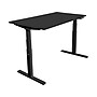 Mount-It! Ultimate 55"W Electric Rectangular Adjustable Standing Desk, Black (MI-18079)~#|#~194E8C06-4399-45AA-A6D32998A367B9F6_sc7