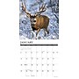 2026 Willow Creek Mule Deer 12" x 12" Monthly Wall Calendar (52051)~#|#~195DCA2C-7E2A-4B1C-84551498F983AAEC_sc7