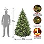 National Tree Company Carolina Pine Artificial Christmas Trees (CAP3-306-65)~#|#~19654A9B-8A79-4A3E-BDF1A7CDE2D51867_sc7