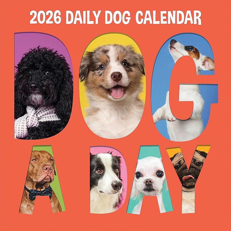2026 TF Publishing Dog-A-Day 12" x 12" Monthly Wall Calendar, Multi (26-1009) image 1