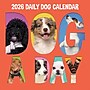 2026 TF Publishing Dog-A-Day 12" x 12" Monthly Wall Calendar, Multi (26-1009)~#|#~196D9205-B428-4B74-A8399F49A23C389E_sc7