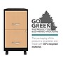 Space Solutions 2-Drawer Mobile File Cabinet, Letter Size, Lockable, 26.7"H x 14.25"W x 18"D, Black/Platinum Oak (25855)~#|#~1971AC13-B3F9-4841-AA7964FEB3EC2529_sc7