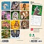 2026 BrownTrout Owls 7" x 7" Monthly Wall Calendar (9798330705047)~#|#~199E6A0E-23DE-4341-94F55B5CFDF66341_sc7