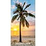 2025-2026 Willow Creek Paradise 3.5" x 6.5" Yearly Planner, Paperboard Cover (47071)~#|#~19A00563-5445-4676-B83BCD009CA23EC6_sc7