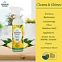 Absolute Green Eco-Friendly All-Purpose Cleaner, Lemon, 2/Pack (LEMALL-2PK)~#|#~19B13E78-A397-4855-82CFB014986D16D5_sc7