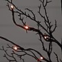 Nearly Natural Pre-Lit Halloween Deluxe Black Twig Artificial Tree, 3' (T5170)~#|#~19BE63B0-7C77-4C49-86C84D5CE2BB7BD6_sc7