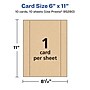Avery Integrated Cards, 6" x 11", Matte Kraft Brown, 10/Pack (95280)~#|#~19BEDC26-96F3-4A42-9071ADA31397256D_sc7
