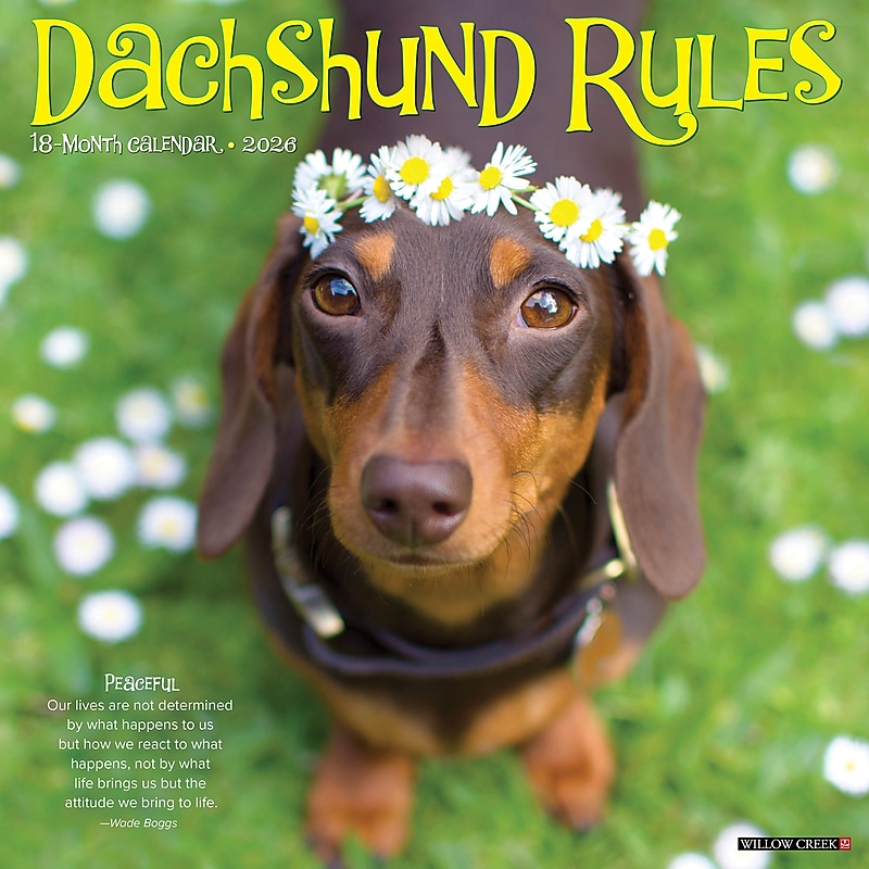 2026 Willow Creek Dachshund Rules 12" x 12" Monthly Wall Calendar (50934) image 1