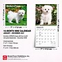 2027 BrownTrout Bichon Frise Puppies 7" x 7" Monthly Wall Calendar, Assorted Colors (9798330709892)~#|#~19F548B5-8E98-4267-B53D02D76E769AE5_sc7