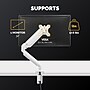 Fellowes Platinum Series Adjustable Arm, Up to 40" Monitor, White (8056201)~#|#~1A09CB00-4343-4066-BEADE063043ED853_sc7