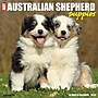 2026 Willow Creek Australian Shepherd Puppies 12" x 12" Monthly Wall Calendar (49976)~#|#~1A121882-F9F3-49C3-97093A231C862FBF_sc7