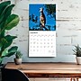 2026 BrownTrout Goats in Trees 12" x 12" Monthly Wall Calendar (9798330703449)~#|#~1A16E85F-C010-4944-BC0BD570F5673235_sc7