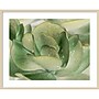 Amanti Art Petal I by Tang Ling Wood Framed Wall Art Print, 41" x 33" (A42675533997)~#|#~1A297418-9ADB-45C4-89010994676998A5_sc7