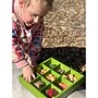 The Freckled Frog Nature's Sorting Box, Assorted Colors (CTUFF497)~#|#~1A35F337-2FE8-41FB-9D785EFA3D59636F_sc7