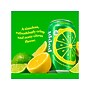 Poppi Prebiotic Lemon-Lime Soda, 12 fl. oz., 12 Cans/Case (XNA71034)~#|#~1A3C2F22-A931-4CB0-B0100C092DB39C31_sc7