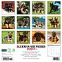 2027 Willow Creek German Shepherd Puppies 12" x 12" Monthly Wall Calendar, Assorted Colors (60360)~#|#~1A3CCF7F-57CE-4BF5-925B5699145900D0_sc7