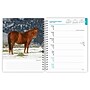 2027 BrownTrout Horse Lovers 6.5" x 7.8" Calendar Year Weekly Standard Planner, Multicolor (9798330709458)~#|#~1A476079-5705-4BA8-A612B55696874E02_sc7