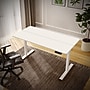 FlexiSpot ET2 55"W Electric Rectangular Adjustable Standing Desk, White ~#|#~1A516E03-C4D0-4082-BC54F84EC5A5CAFD_sc7