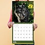 2027 TF Publishing Wolves 12" x 12" Monthly Wall Calendar, Multicolored (27-1035)~#|#~1A582353-96E3-4368-82C016241071DE9D_sc7