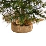 Nearly Natural Artificial Christmas Tree, 3' (T3272)~#|#~1A6EEC18-A519-4FF7-9DFE4B125503C53F_sc7