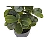Monarch Specialties Inc. 14" Artificial Ficus Elastica Plant in Pot, 2/Set (I 9558)~#|#~1A8C916E-0BAF-4EEA-AF26C48A5713AA09_sc7