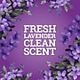 Pine-Sol Multi-Surface Cleaner/Degreaser, Lavender Clean Scent, 80 Fl. Oz. 3/Carton (60608CT)~#|#~1AA877BE-D652-4F66-92D0B99B6151F115_sc7